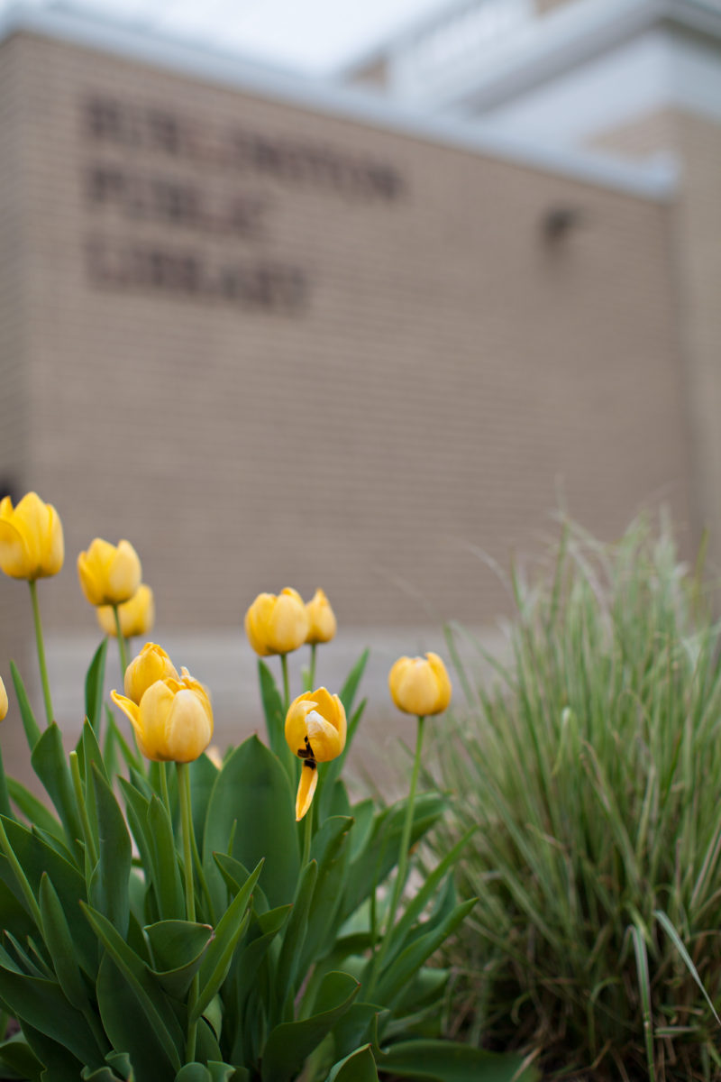 Library (38) Burlington Public Library